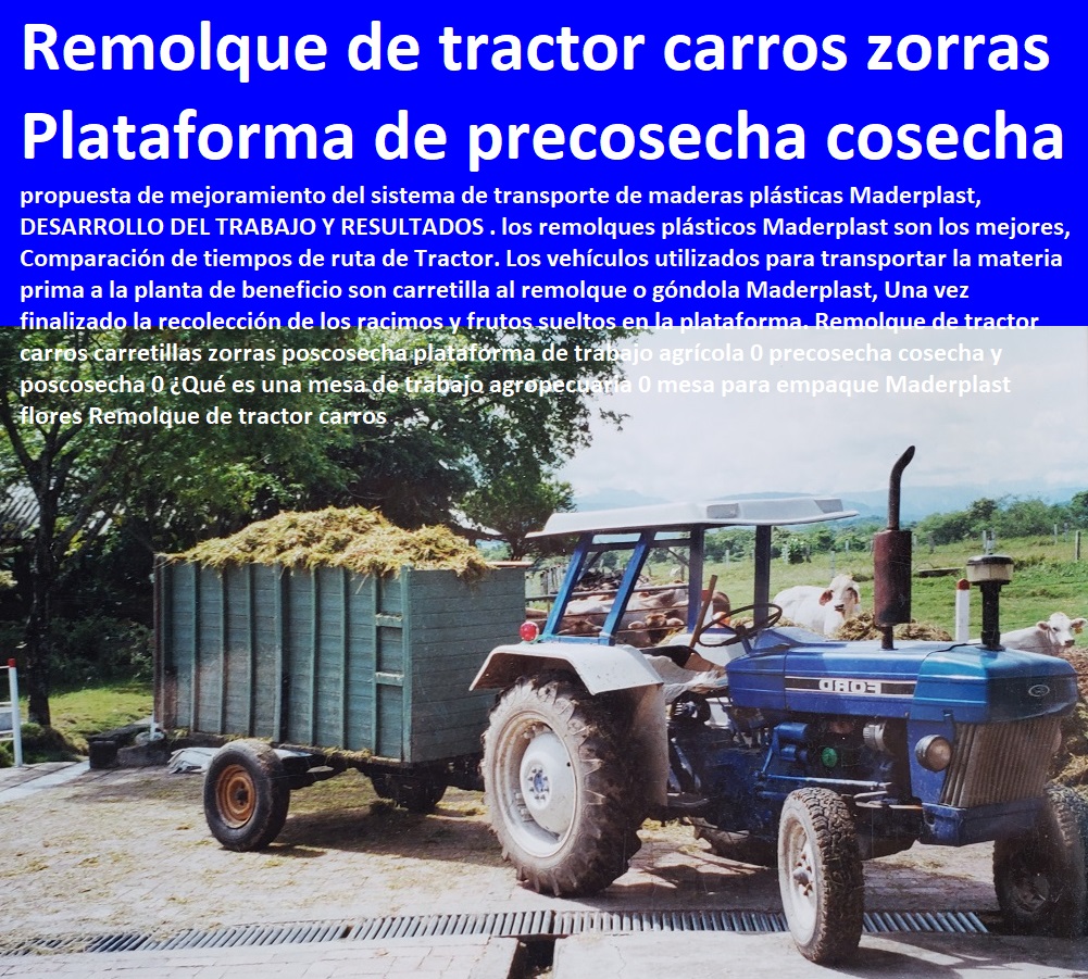 Remolque Zorra para Vehículos Trailer ganadero carreta remolque para tractor 0 mini remolques trailer zorras 0 Saladero inteligente diseñado para ganado 0 Sales y saladeros en el potrero Maderplast 0 Saladero inteligente 0 Remolque Zorra Remolque Zorra para Vehículos Plaza Toros, Brete Ganadero, Apretaderos Embarcaderos, Postes Tablas, Corral Caballerizas, Polines Varetas, Mangas De Coleo, Horcones Madera Plástica, Corrales, Establos De Ganado, Mangas De Coleo, Pesebreras De Caballos, Trailer ganadero carreta remolque para tractor 0 mini remolques trailer zorras 0 Saladero inteligente diseñado para ganado 0 Sales y saladeros en el potrero Maderplast 0 Saladero inteligente 0 Remolque Zorra